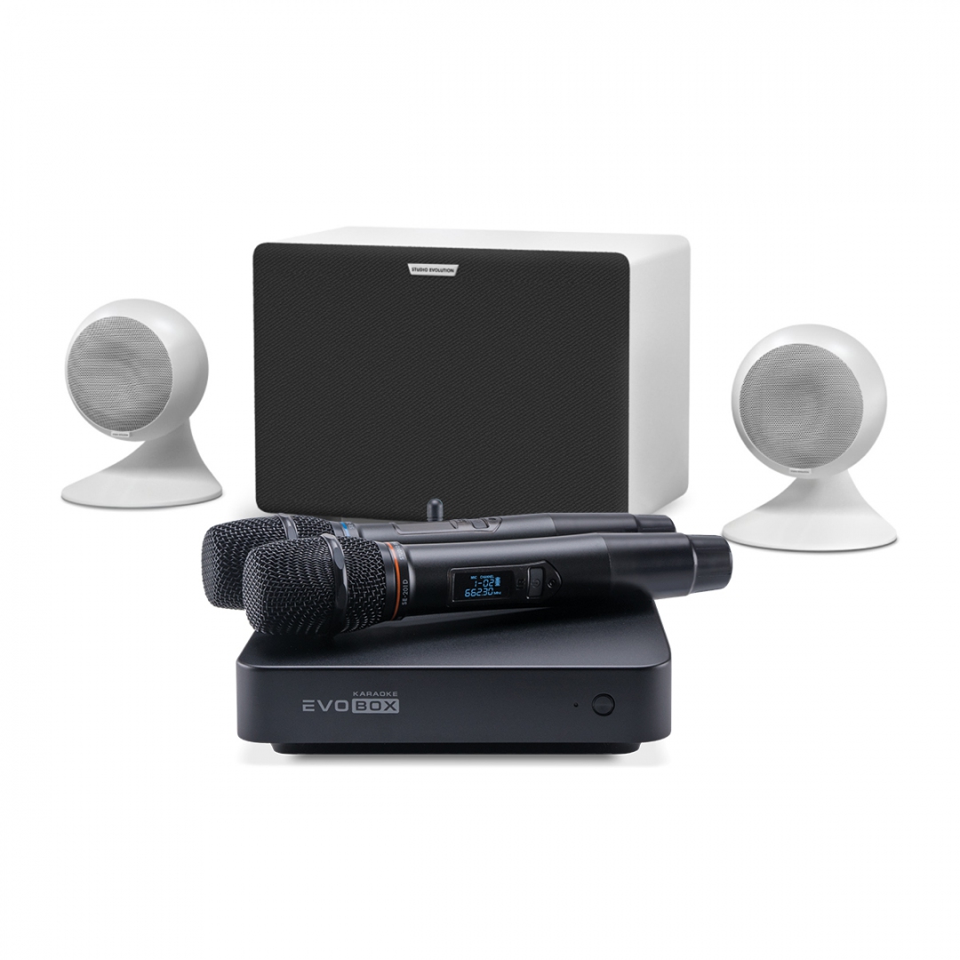 караоке-комплект EVOBOX Classic + EvoSound Sphere 2.1 в Ижевске