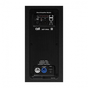 Активная акустическая система AST-310A в Ижевске