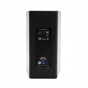Активная акустическая система AST-310A в Ижевске