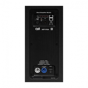 Активная акустическая система AST-312A в Ижевске