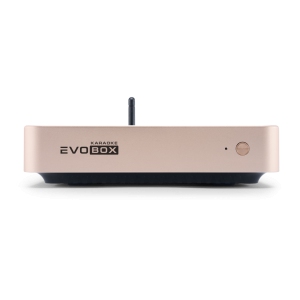 EVOBOX Classic караоке-система для дома в Ижевске