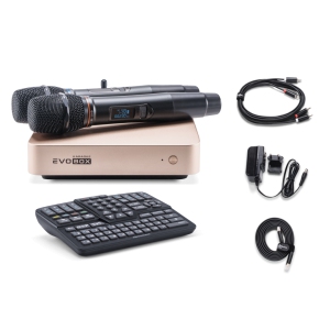 EVOBOX Classic караоке-система для дома в Ижевске