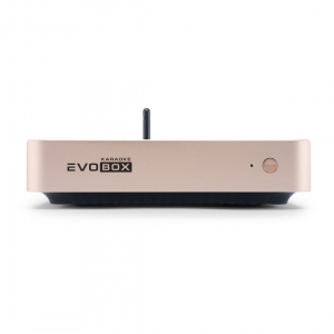 EVOBOX Plus караоке-система для дома в Ижевске
