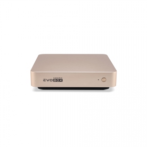EVOBOX с микрофонами в Ижевске